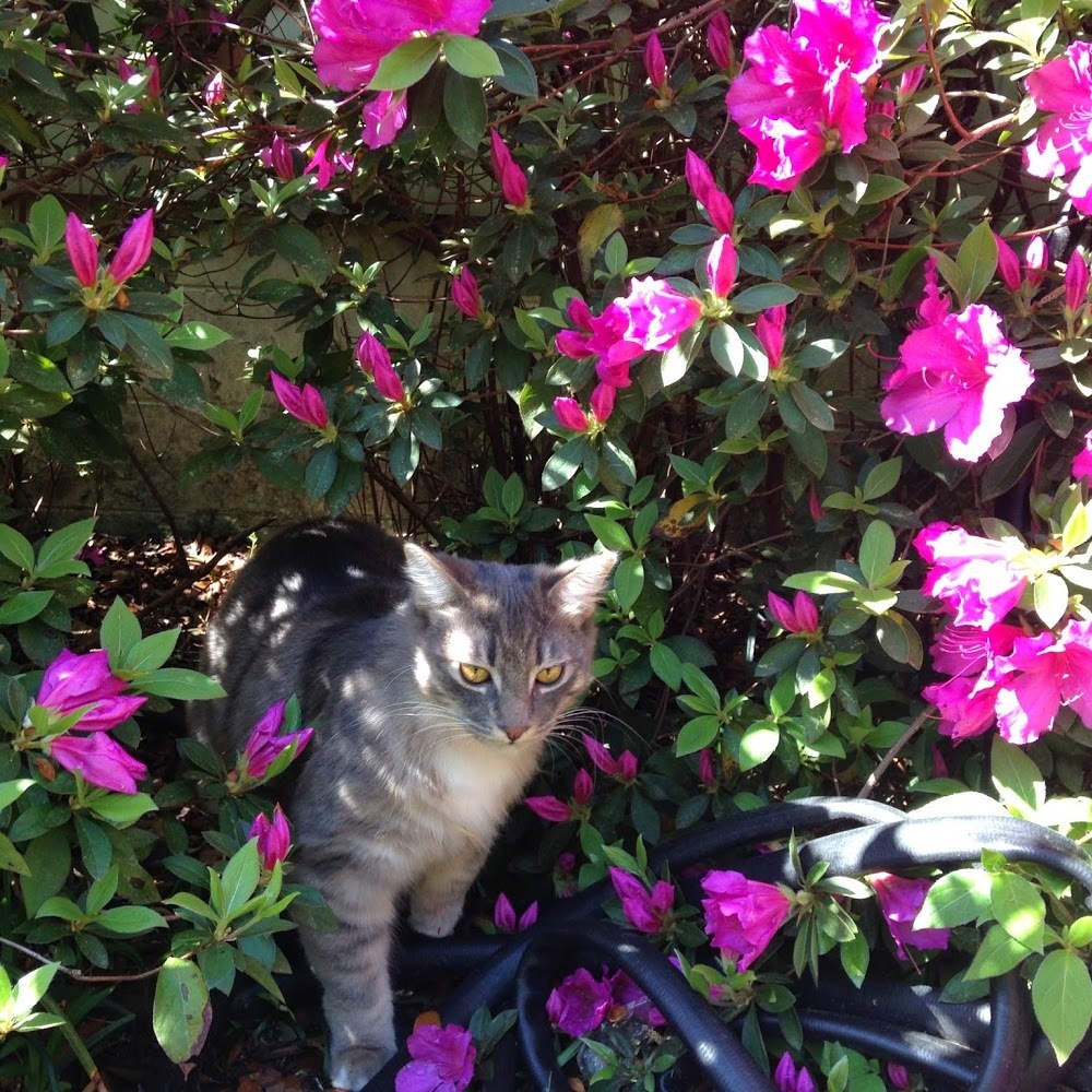 Meet your Posher, Sallie